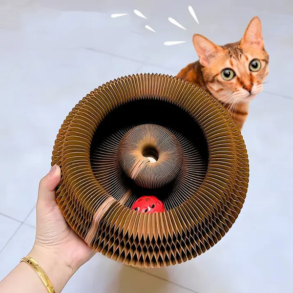 Kitty Kurl